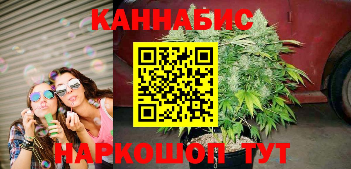 Бошки марихуана семена  Вход с VPN  Холмск  Бошки марихуана Bruce Banner  Канабис тримм 